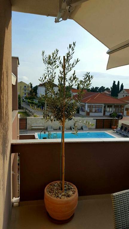 Antonija Apartments With Pool Biograd Na Moru Bagian luar foto